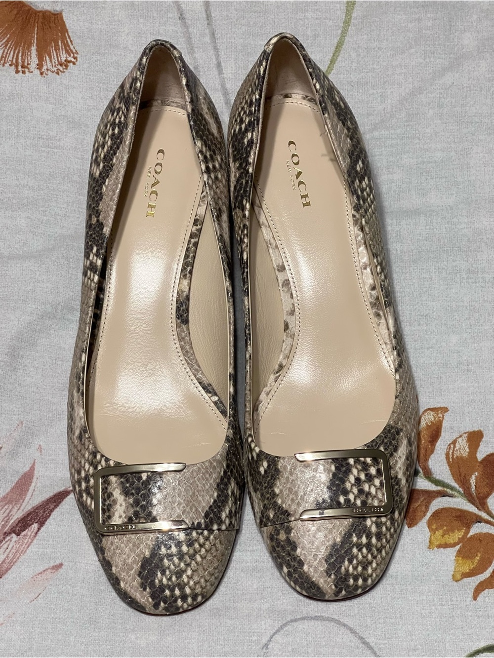 COACH Size 10 B Isla Snake Skin Print Block Heel Golden Embellishment Pumps Shoe